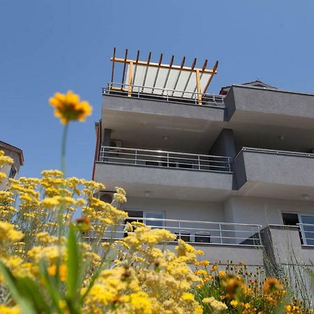 Apartments Timbar Grebaštica Buitenkant foto